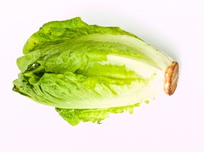 Lechuga Romana 