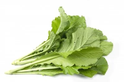 Berzas 3,60 €/Ud Berzas