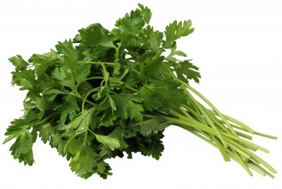 Cilantro 2,11 €/Ud Cilantro