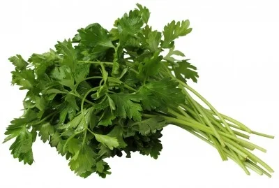 Cilantro 2,11 €/Ud Cilantro