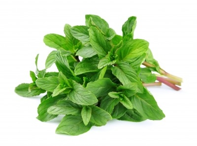 Menta 2,11 €/Ud Menta