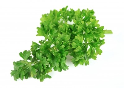 Perejil 1,35 €/Ud Perejil