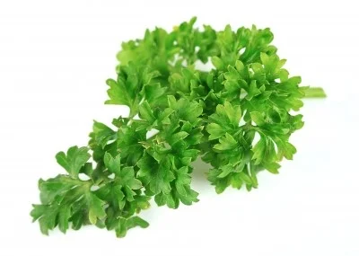 Perejil 1,35 €/Ud Perejil