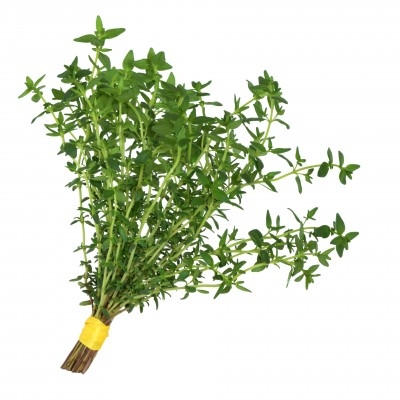 Tomillo 2,11 €/Ud Tomillo