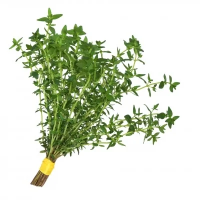 Tomillo 2,11 €/Ud Tomillo