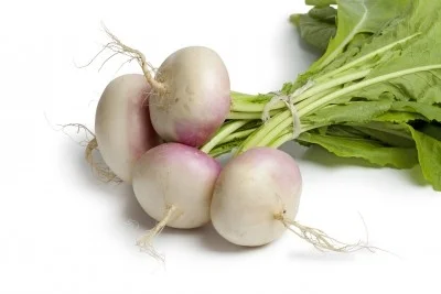 Nabo 2,74 €/Kg Nabo