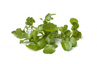 Berros 2,94 €/Ud Berros