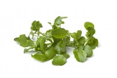 Berros 2,94 €/Ud Berros