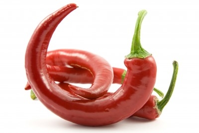 Guindilla 