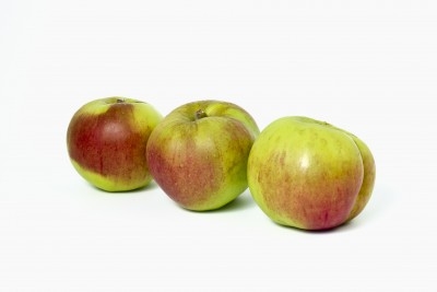 Manzana Reineta 3,36 €/Kg Manzana Reineta