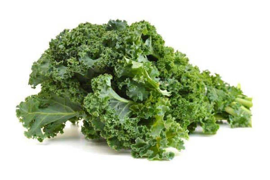 Kale 3,36 € / Ud Kale