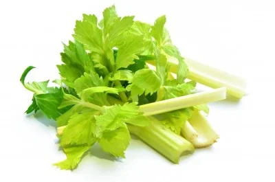 Apio Verde 1,90 €/Ud Apio Verde