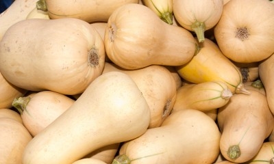 Calabaza 1,43 €/Kg Calabaza