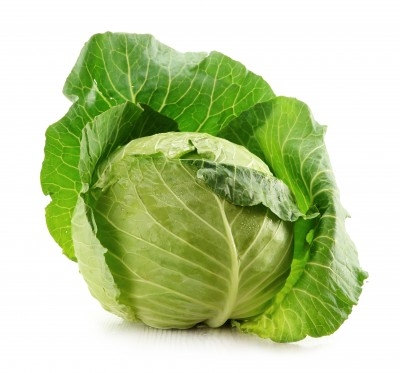 Repollo 1,70 €/Kg Repollo