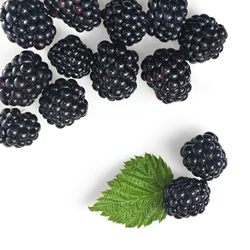 Moras 3,62 €/Ud Moras
