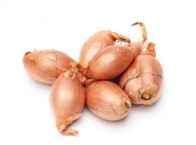 Cebolla Chalota 3,37 €/Ud Cebolla Chalota