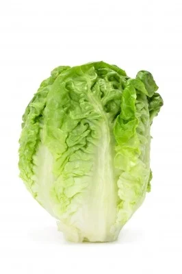 Corazon de Lechuga 3,42 €/Ud Corazon de Lechuga